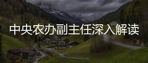 中央農(nóng)辦副主任深入解讀農(nóng)村陋習整治行動