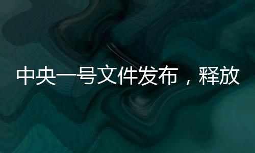中央一號文件發(fā)布，釋放多重新信號，引領未來發(fā)展新方向