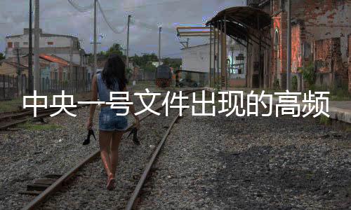 中央一號文件出現(xiàn)的高頻詞匯概覽