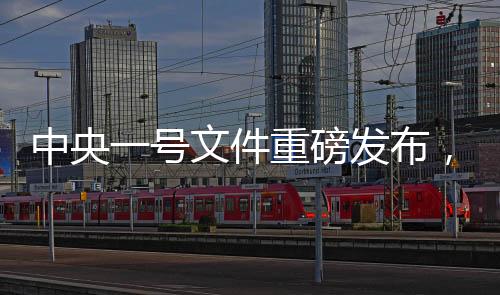 中央一號(hào)文件重磅發(fā)布，提高城鄉(xiāng)居民養(yǎng)老金
