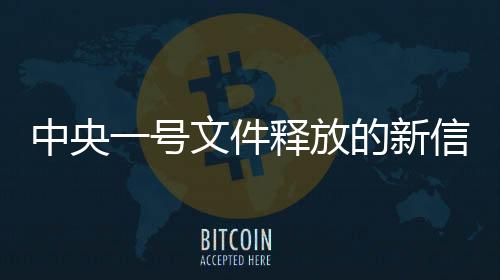中央一號文件釋放的新信號引領(lǐng)未來發(fā)展