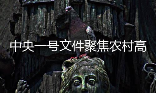 中央一號文件聚焦農(nóng)村高額彩禮治理，倡導(dǎo)文明新風(fēng)重塑鄉(xiāng)村風(fēng)貌