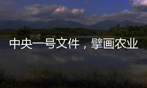 中央一號(hào)文件，擘畫農(nóng)業(yè)農(nóng)村現(xiàn)代化新藍(lán)圖