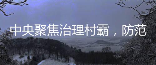中央聚焦治理村霸，防范遏制地方黑惡勢(shì)力