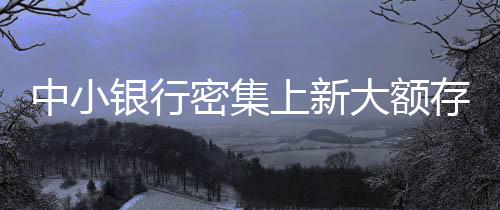 中小銀行密集上新大額存單，新的市場機(jī)遇與挑戰(zhàn)