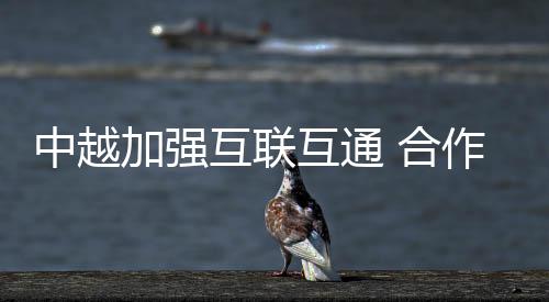中越加強(qiáng)互聯(lián)互通 合作書(shū)寫(xiě)發(fā)展新篇章