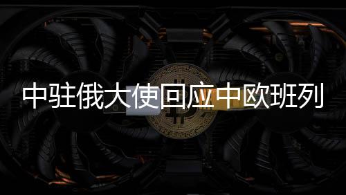 中駐俄大使回應(yīng)中歐班列被扣查事件，深化合作，共同應(yīng)對(duì)挑戰(zhàn)