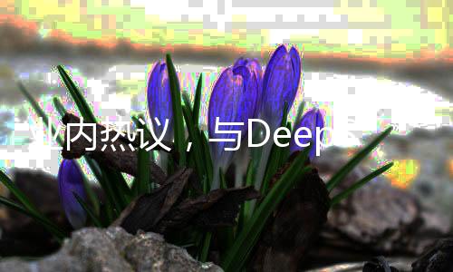 業(yè)內(nèi)熱議，與DeepSeek并肩之路，自封無(wú)益