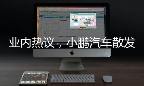業(yè)內(nèi)熱議，小鵬汽車散發(fā)出雷軍味兒