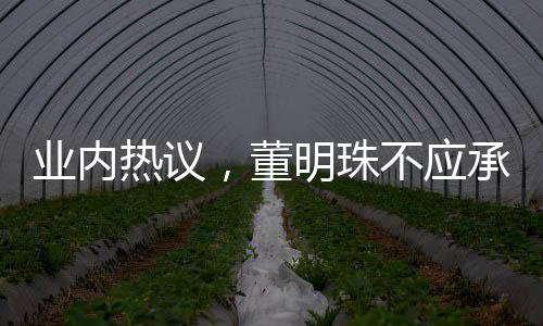 業(yè)內(nèi)熱議，董明珠不應(yīng)承受如此嚴(yán)厲的指責(zé)