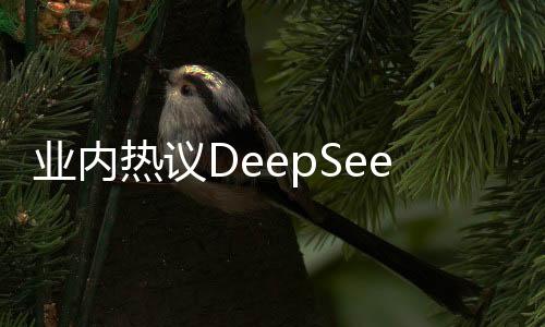業(yè)內(nèi)熱議DeepSeek創(chuàng)始人，技術(shù)理想主義的踐行者
