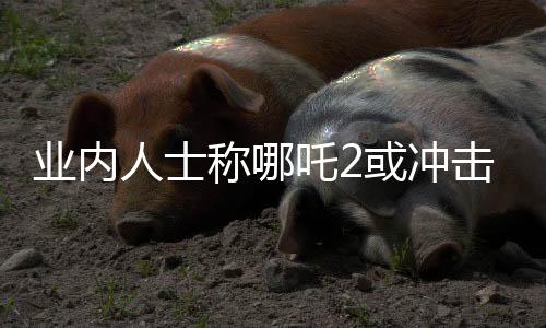 業(yè)內(nèi)人士稱哪吒2或沖擊全球影史前三，引發(fā)期待熱潮