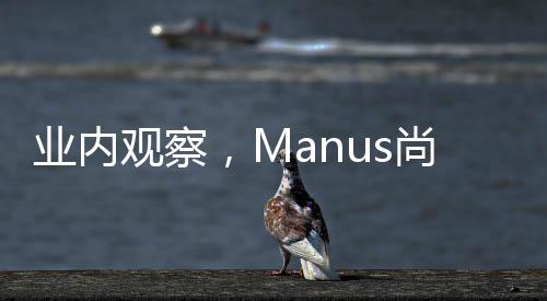 業(yè)內觀察，Manus尚未引爆硅谷覺醒之力