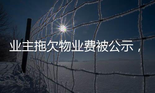 業(yè)主拖欠物業(yè)費(fèi)被公示，法院判決揭曉