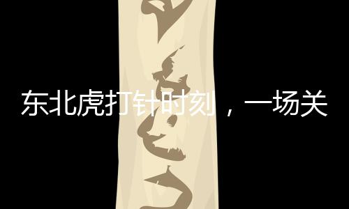 東北虎打針時(shí)刻，一場(chǎng)關(guān)乎生命與敬畏的溫柔護(hù)理