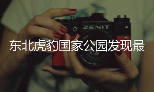 東北虎豹國家公園發(fā)現(xiàn)最年輕虎媽驚艷世界