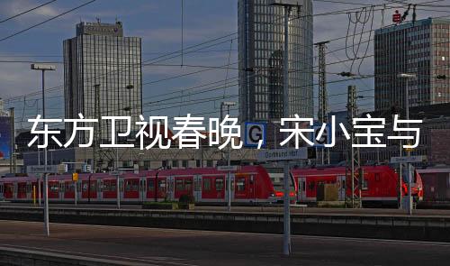東方衛(wèi)視春晚，宋小寶與文松攜手呈現(xiàn)爆笑小品
