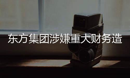 東方集團涉嫌重大財務造假，引發(fā)市場震動