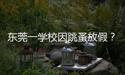 東莞一學(xué)校因跳蚤放假？教育局回應(yīng)