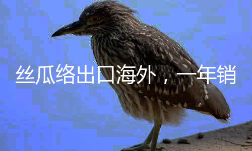絲瓜絡(luò)出口海外，一年銷售額達(dá)兩千萬美元，產(chǎn)業(yè)繁榮背后的故事
