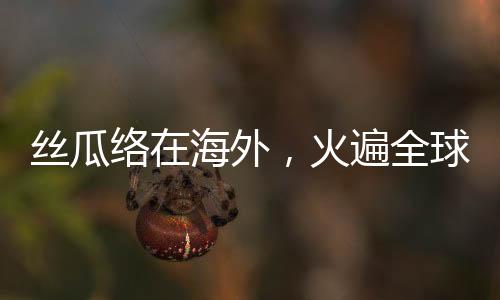 絲瓜絡(luò)在海外，火遍全球的文化與藝術(shù)之旅