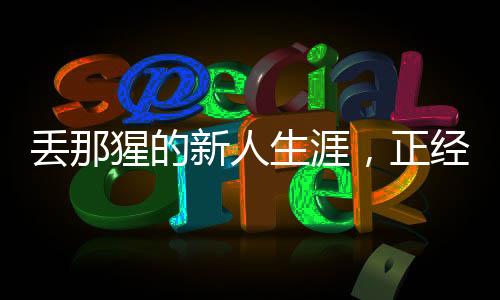 丟那猩的新人生涯，正經(jīng)工作與繡球游戲之道新探
