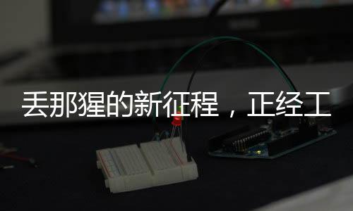 丟那猩的新征程，正經(jīng)工作與拋繡球的跨界碰撞