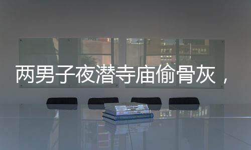 兩男子夜?jié)撍聫R偷骨灰，引發(fā)社會廣泛關(guān)注