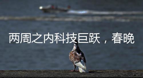兩周之內(nèi)科技巨躍，春晚后的機(jī)器人進(jìn)化紀(jì)實(shí)