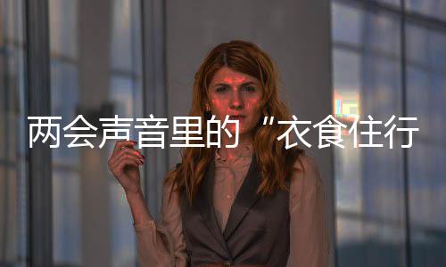 兩會(huì)聲音里的“衣食住行”