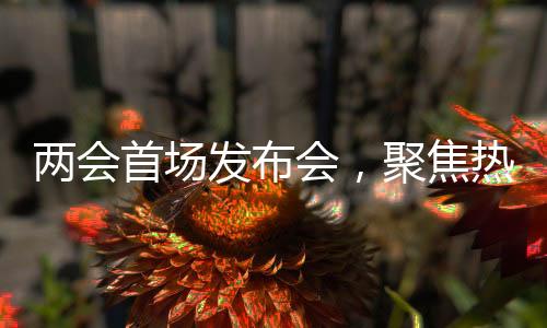 兩會首場發(fā)布會，聚焦熱點話題的深入解讀與探討（內(nèi)含標(biāo)題）