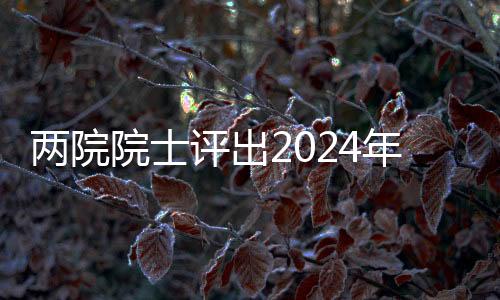 兩院院士評出2024年世界十大科技進(jìn)展新聞：馬斯克“筷子”夾火箭上榜