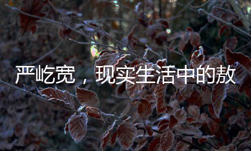 嚴(yán)屹寬，現(xiàn)實(shí)生活中的敖光形象