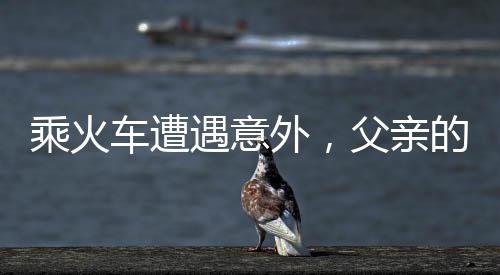 乘火車遭遇意外，父親的失控與兒子的傷痛