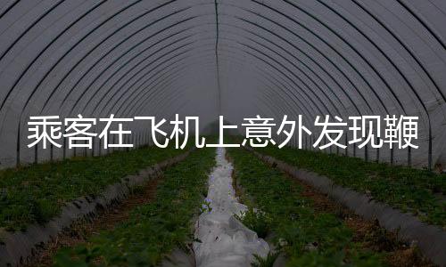 乘客在飛機(jī)上意外發(fā)現(xiàn)鞭炮，引發(fā)關(guān)注與調(diào)查