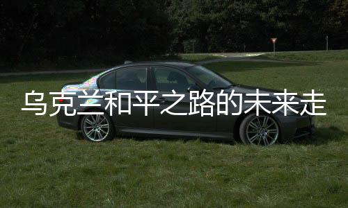 烏克蘭和平之路的未來(lái)走向
