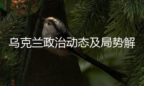 烏克蘭政治動(dòng)態(tài)及局勢(shì)解析，澤連斯基的去留與其未來(lái)發(fā)展挑戰(zhàn)分析