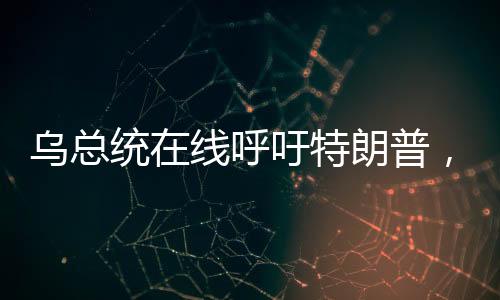烏總統(tǒng)在線呼吁特朗普，一通電話的跨國期待