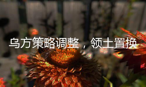烏方策略調(diào)整，領(lǐng)土置換計(jì)劃揭秘