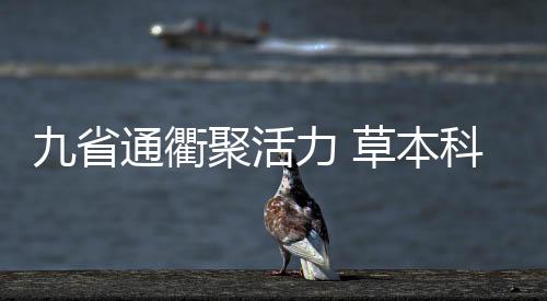 九省通衢聚活力 草本科技映未來丨毛鋪草本中國行第二季圓滿收官