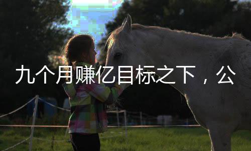 九個(gè)月賺億目標(biāo)之下，公司的轉(zhuǎn)型與多重子公司注銷(xiāo)探秘