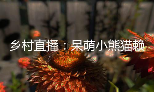 鄉(xiāng)村直播：呆萌小熊貓賴上我