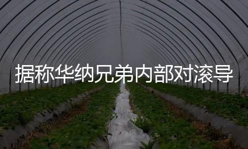 據(jù)稱華納兄弟內(nèi)部對滾導新《超人》正式預告并不滿意
