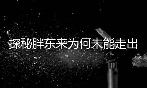 探秘胖東來(lái)為何未能走出河南——品牌地域擴(kuò)張的局限與挑戰(zhàn)