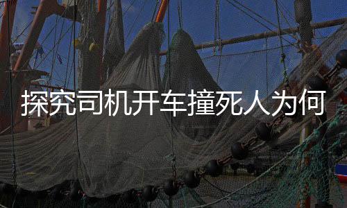 探究司機開車撞死人為何無刑責？全面解讀背后的法律邏輯