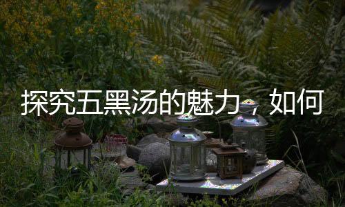 探究五黑湯的魅力，如何通過飲食調(diào)養(yǎng)氣血充足