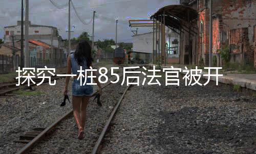 探究一樁85后法官被開(kāi)除公職的案例