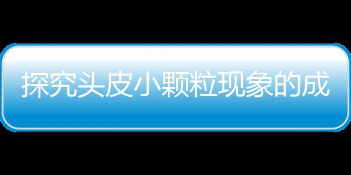 探究頭皮小顆?，F(xiàn)象的成因及解決策略
