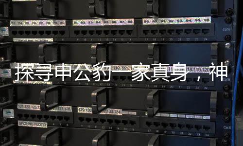 探尋申公豹一家真身，神秘動(dòng)物身份之謎