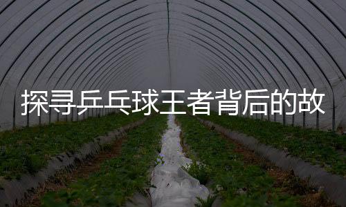 探尋乒乓球王者背后的故事，記者提問業(yè)余問題引發(fā)馬龍深度思考